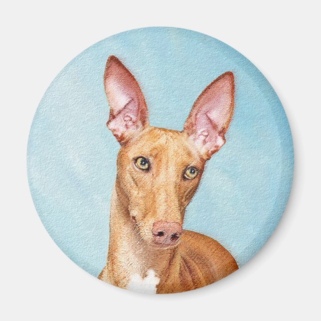 Pharaoh Hound Painting - Cute Original Hund Art Magnet (Framsidan)