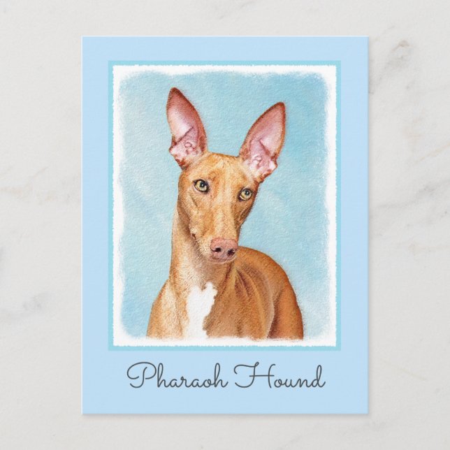 Pharaoh Hound Painting - Cute Original Hund Art Vykort (Framsida)