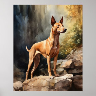 Pharaoh Hund Art-utskrift Poster