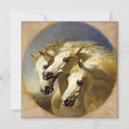 Pharaoh's Horses 1848 JF-sill, Sr Hi-Def Card