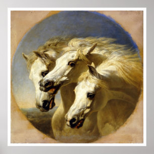 Pharaoh's Horses" av J.F. Sill, 1848 Poster