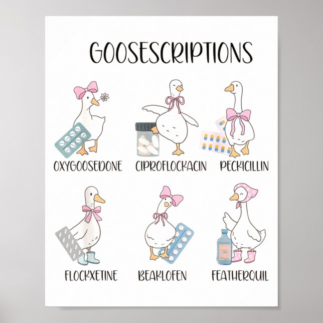 Pharmacy Funny Goose Silly Prescriptions Puns Medi Poster (Framsidan)