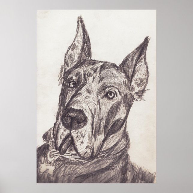 pharoah sk3 str poster (Framsidan)