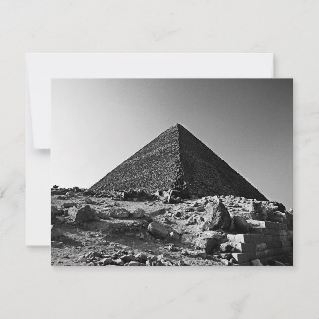 Pharoahs (Framsida)