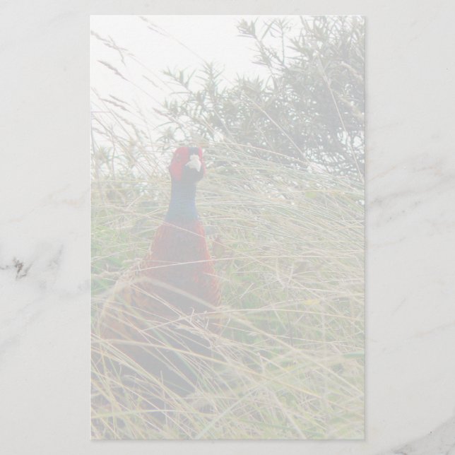 Pheantastic Brevpapper (Framsida)