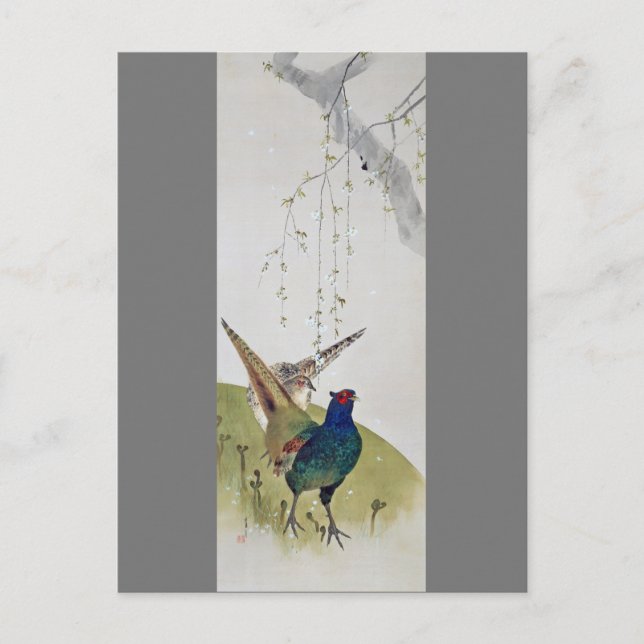 Pheasant and Weeping Cherry Träd, Watanabe Seitei Vykort (Framsida)