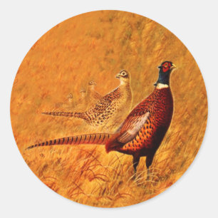 Pheasant Bird Nature Wildlife Stickers Runt Klistermärke