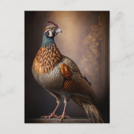 Pheasant Bird Postcard Vykort