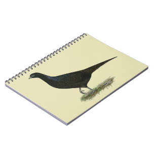 Pheasant Black Hen Anteckningsbok Med Spiral