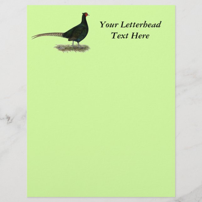Pheasant Black Tupp (Framsida)