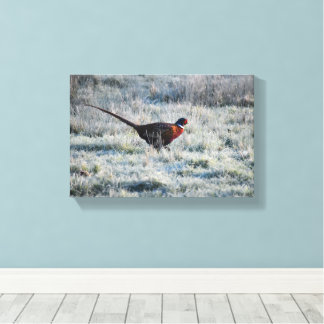 Pheasant  canvastryck