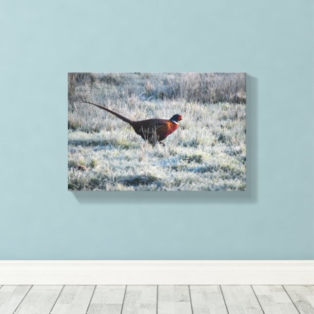 Pheasant  canvastryck (Insitu (trägolv))