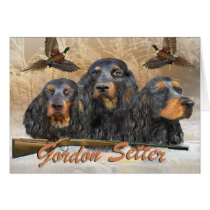 Pheasant för jakt för Gordon Setter Hälsningskort