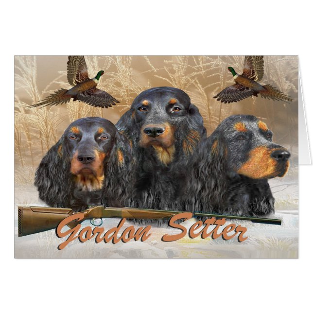 Pheasant för jakt för Gordon Setter Hälsningskort (Framsidan Horizontal)