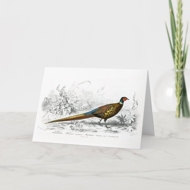 Pheasant for jul - Vintage Art - Helgkort (Framsida)