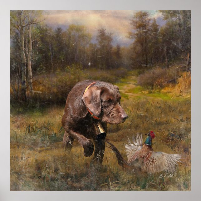 Pheasant Hunting med Pudelpointers Poster (Framsidan)