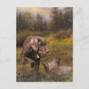 Pheasant Hunting med Pudelpointers Vykort