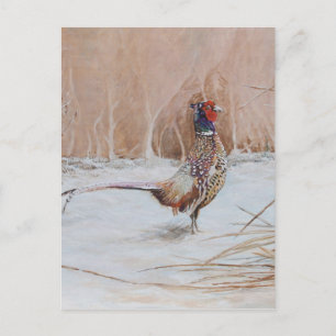 Pheasant i snö vykort