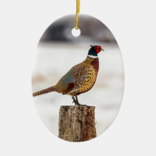 Pheasant Julgransprydnad Keramik
