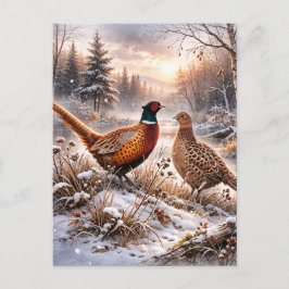 Pheasant  meddelande vykort