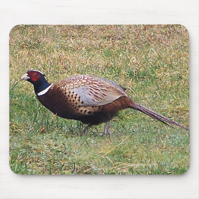 Pheasant Mousepad Musmatta (Framsidan)