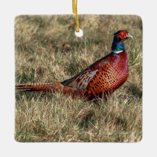 Pheasant Photo Julgransprydnad Keramik