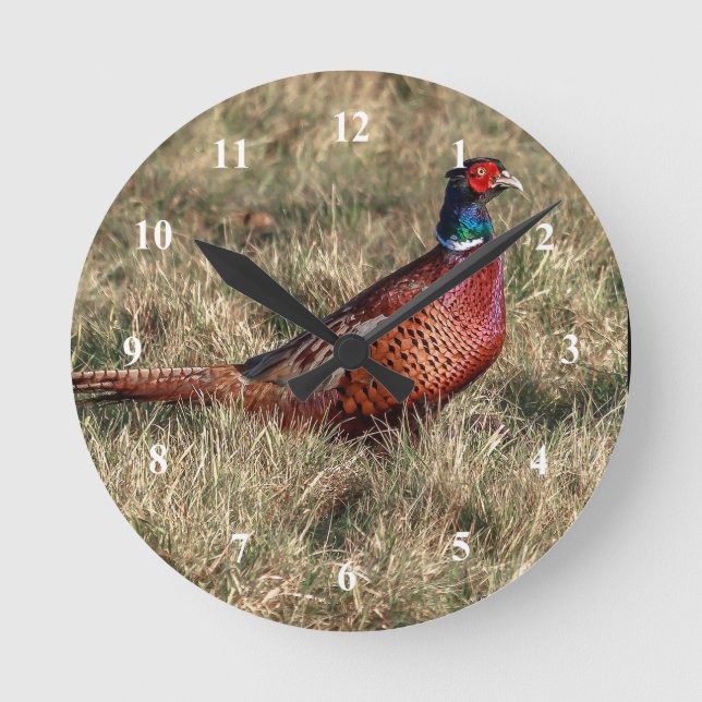 Pheasant Photo Rund Klocka (Framsida)