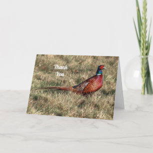 Pheasant Photo Tack Helgkort