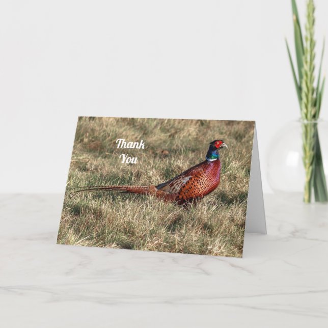 Pheasant Photo Tack Helgkort (Framsida)