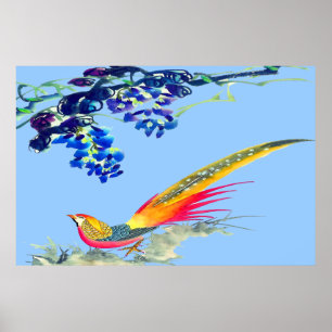 Pheasant poster Teckning 3