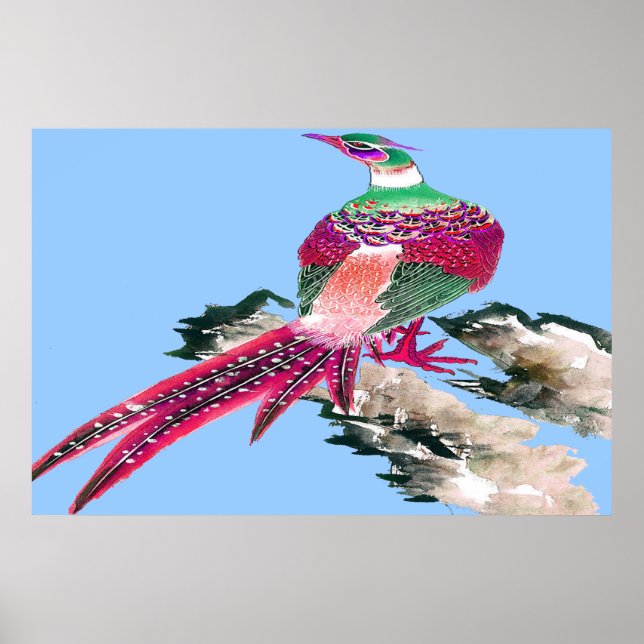 Pheasant poster Teckning 4 (Framsidan)