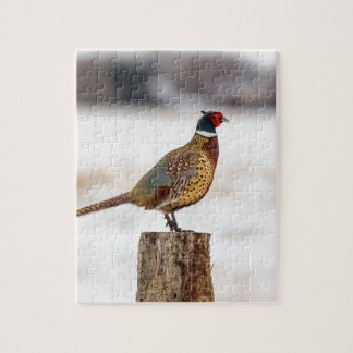 Pheasant Pussel