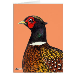 Pheasant:  Ringneck huvud OBS Kort