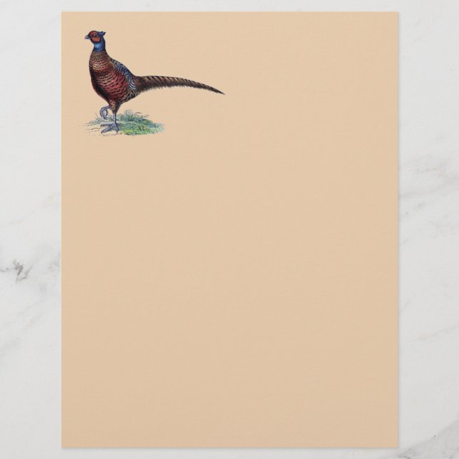 Pheasant Strutt (Framsida)