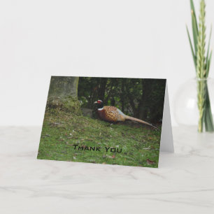 Pheasant, tack, ditt kort
