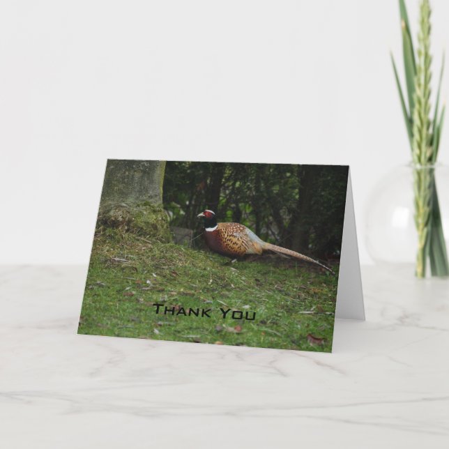 Pheasant, tack, ditt kort (Framsida)