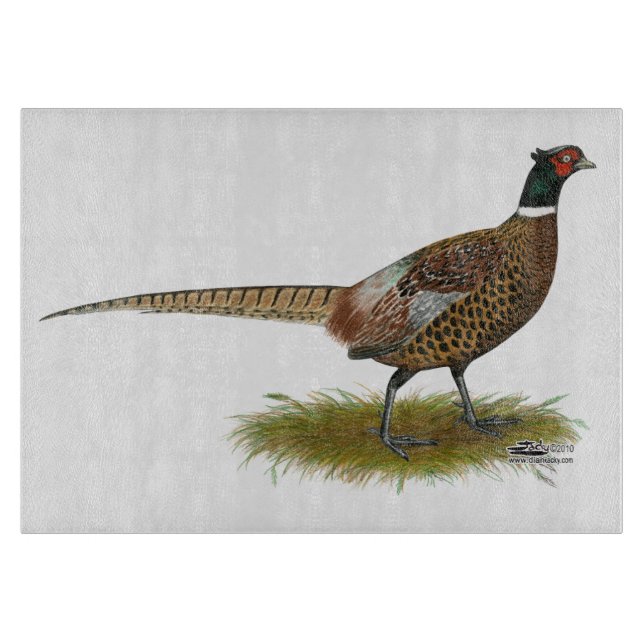 Pheasant Tupp (Framsidan)