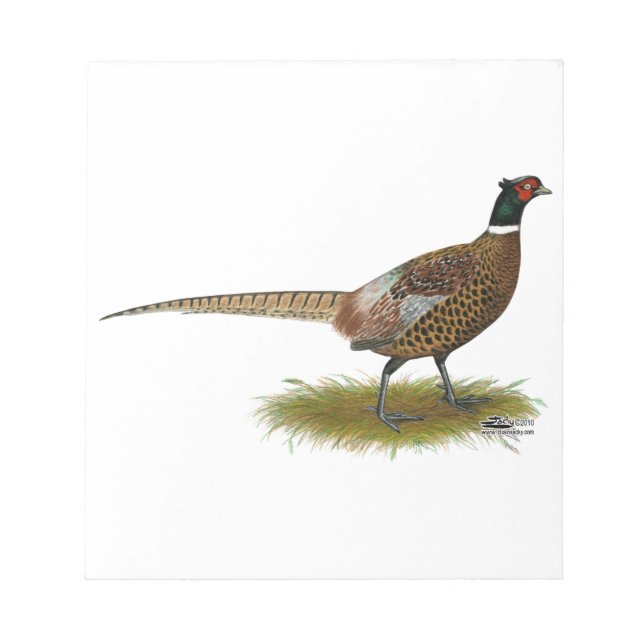 Pheasant Tupp Anteckningsblock (Framsida)