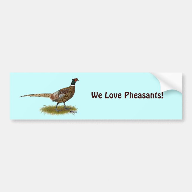 Pheasant Tupp Bildekal (Framsidan)