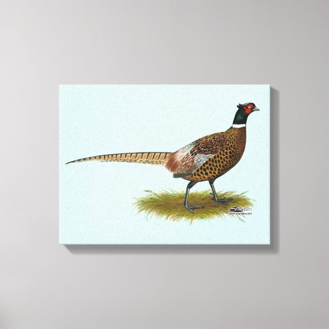 Pheasant Tupp Canvastryck (Framsida)