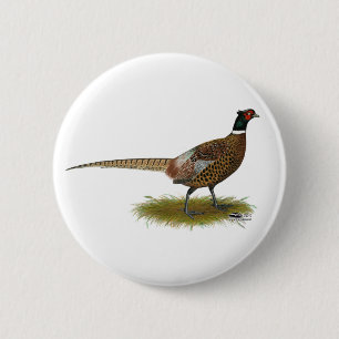 Pheasant Tupp Knapp