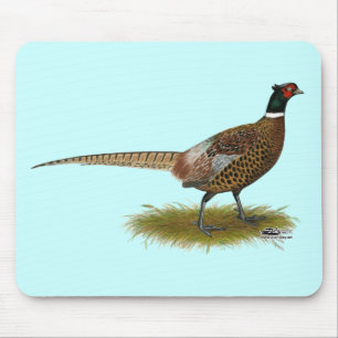 Pheasant Tupp Musmatta