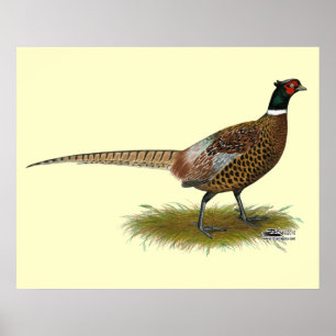 Pheasant Tupp Poster