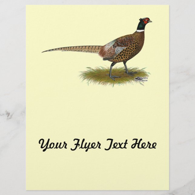 Pheasant Tupp Reklamblad (Framsidan)