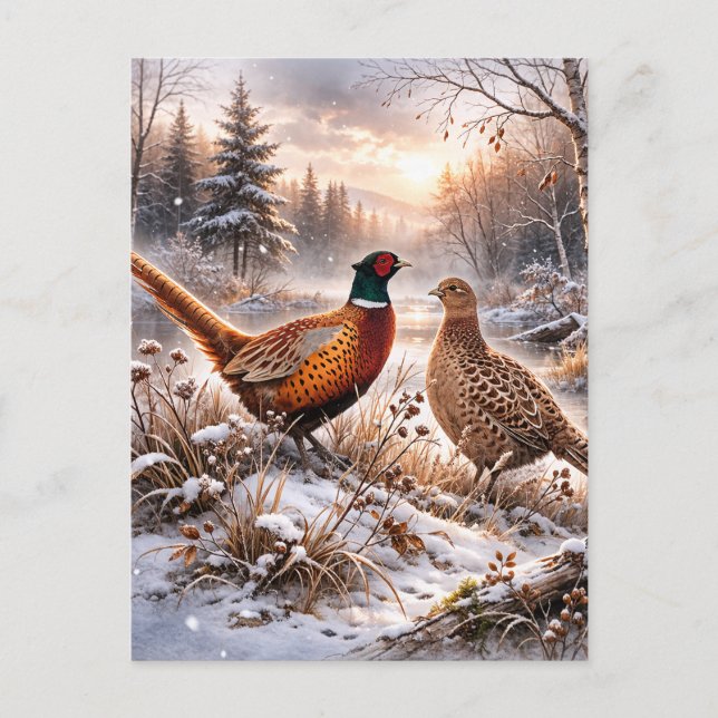 Pheasant  vykort (Framsida)