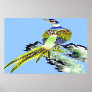 Pheasantanseendeaffisch som drar 5 poster