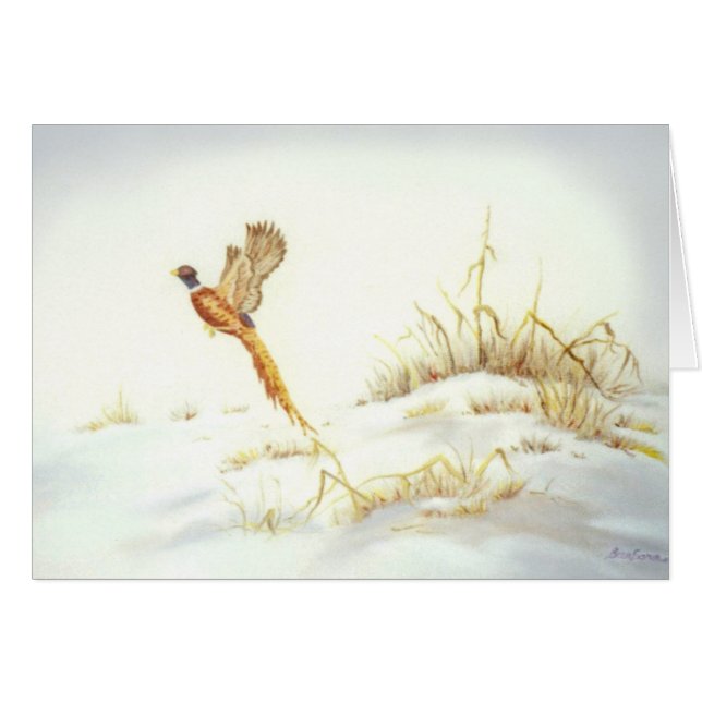 Pheasanten i snöig landskap oljemålning OBS kort (Framsidan Horizontal)