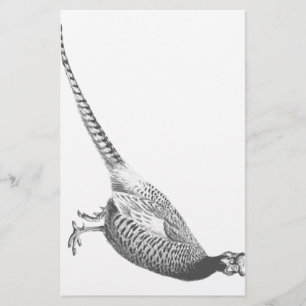 Pheasanten skissar brevpapper