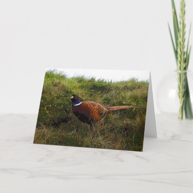 Pheasantfödelsedagkort Kort (Framsida)