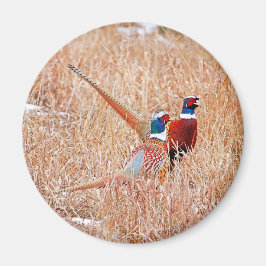 Pheasants ring-nacke magnet